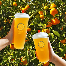 Load image into Gallery viewer, CCF 16OZ(500ml) Premium PP Injection Plastic Cup - Frosted | 90mm Diameter | 500 Pieces/Case