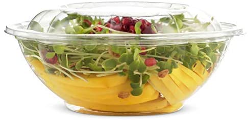 18oz Crystal Clear Plastic Disposable Salad Bowls with Lids To-Go
