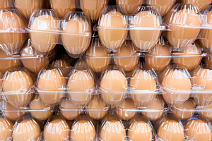 Consumer Preferences in Egg Packaging: Why PET Plastic Containers are Gaining Popularity