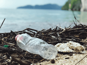 How Is Marine Life Affected by Plastic